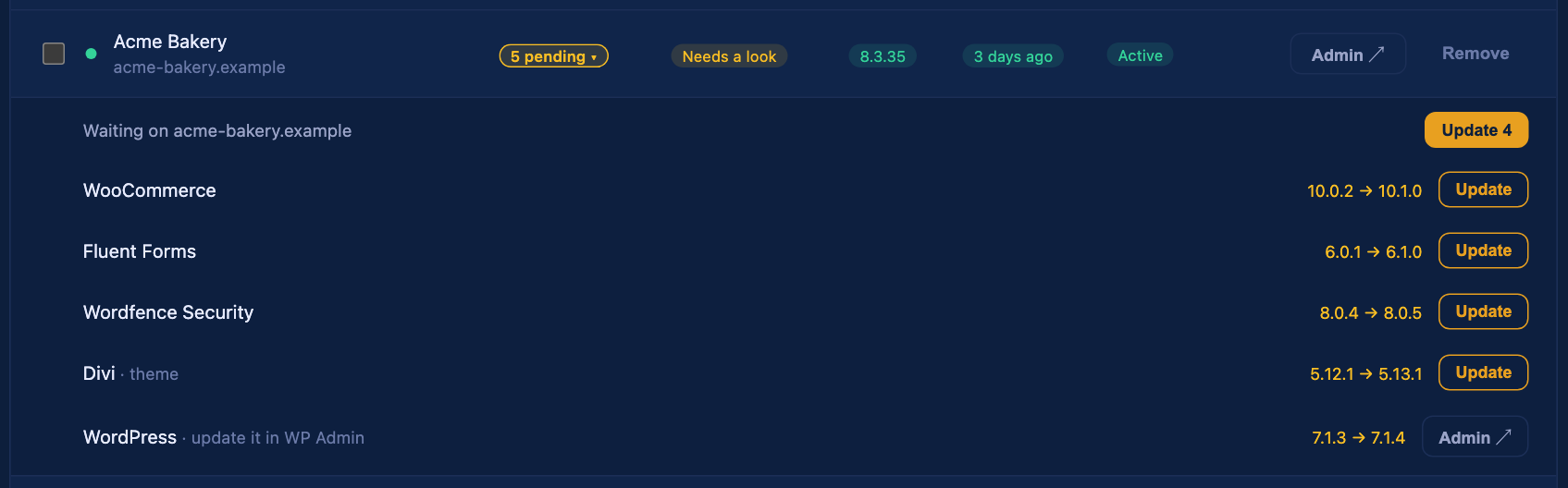 An open update list for one site, with each plugin and theme, its old and new version, and an Update button